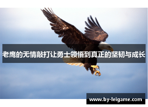 老鹰的无情敲打让勇士领悟到真正的坚韧与成长
