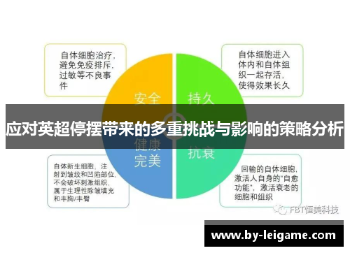应对英超停摆带来的多重挑战与影响的策略分析