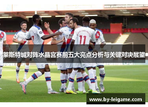 莱斯特城对阵水晶宫赛前五大亮点分析与关键对决展望