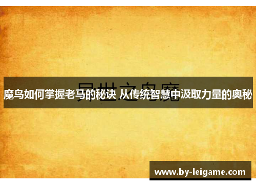 魔鸟如何掌握老马的秘诀 从传统智慧中汲取力量的奥秘