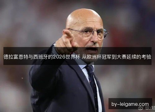 德拉富恩特与西班牙的2026世界杯 从欧洲杯冠军到大赛延续的考验